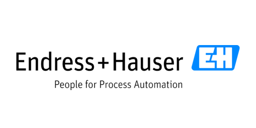 Endress Hauser Category Logo